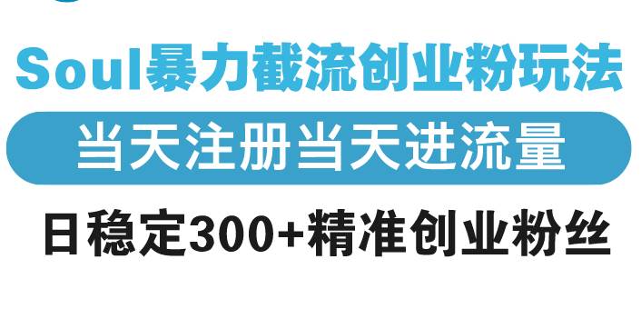 （13935期）Soul暴力截流创业粉玩法，当天注册当天进流量，日稳定300+精准创业粉丝-齐力副业