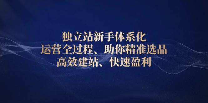 （13914期）独立站新手体系化 运营全过程，助你精准选品、高效建站、快速盈利-齐力副业