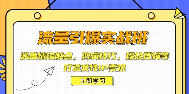 （14008期）流量引爆实战班，涵盖情绪触点，剪辑技巧，投放逻辑等，打造女性IP变现-齐力副业