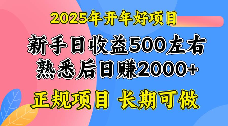 （14076期）2025开年好项目，单号日收益2000左右-齐力副业