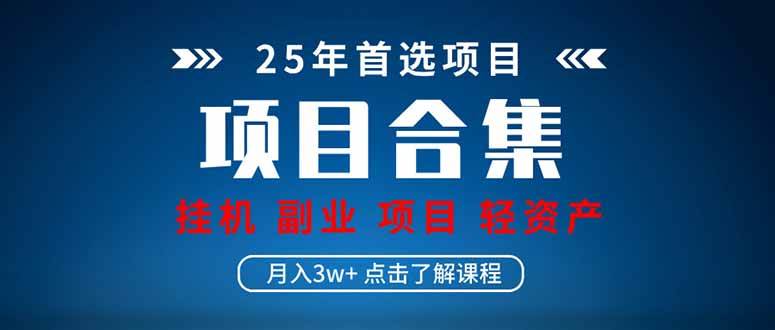 （14175期）2025 实操项目合集 挂机类型 直播类型 轻资产创业类型 课程分享各项目…-齐力副业