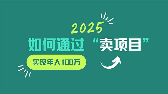 （14176期）2025年如何通过“卖项目”实现年入100万-齐力副业