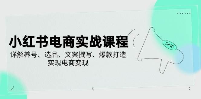 （14549期）小红书电商实战课程，详解养号、选品、文案撰写、爆款打造，实现电商变现-齐力副业