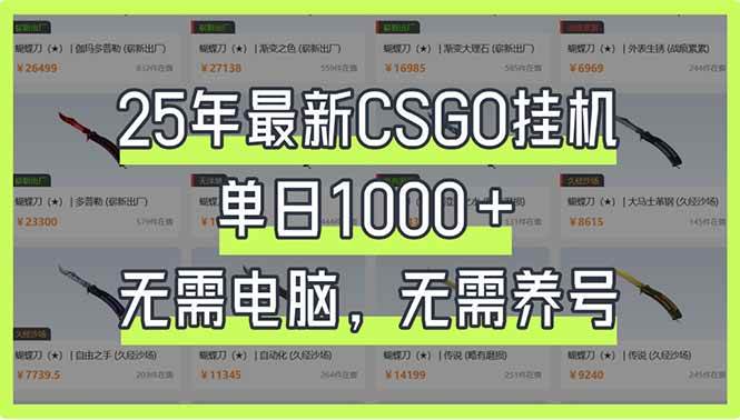 （14178期）25年最新CSGO挂机系统，单日1000+，无需电脑，无需养号，0基础可上手-齐力副业
