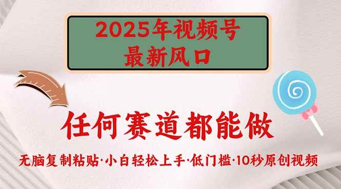 （14453期）2025年视频号新风口，低门槛只需要无脑执行-齐力副业