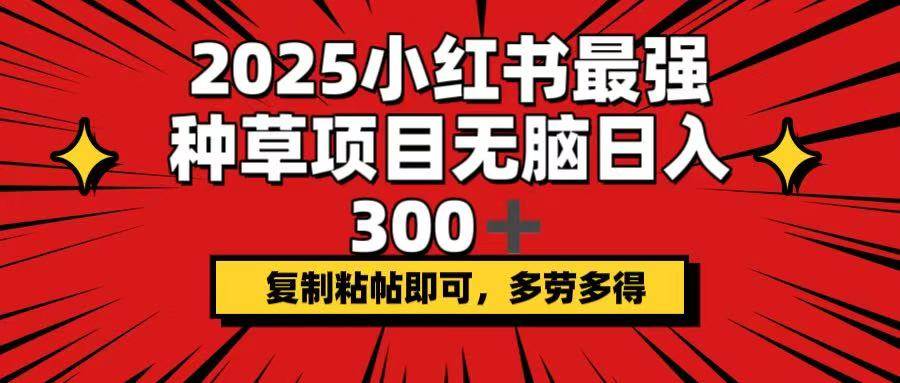 （14375期）2025小红书最强种草项目，无脑日入300+，复制粘帖即可，多劳多得-齐力副业