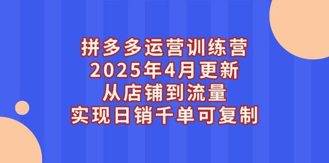 （14469期）拼多多运营训练营2025年4月更新，从店铺到流量，实现日销千单可复制-齐力副业