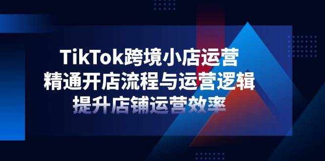 （14369期）TikTok跨境小店运营，精通开店流程与运营逻辑，提升店铺运营效率-齐力副业