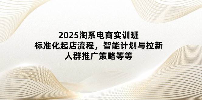 （14522期）2025淘系电商实训班：标准化起店流程，智能计划与拉新，人群推广策略等等-齐力副业