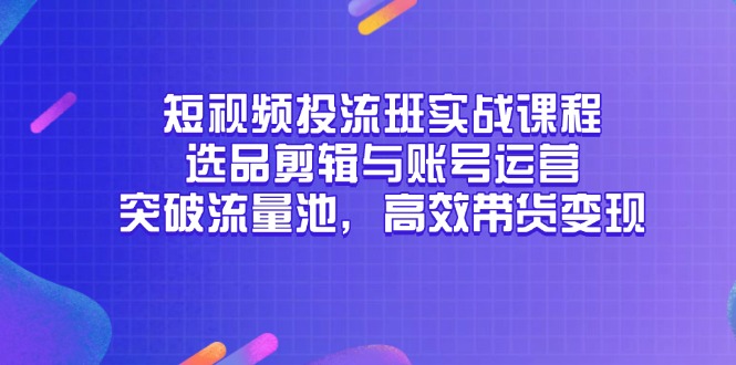 （14868期）短视频投流班实战课程，选品剪辑与账号运营，突破流量池，高效带货变现-齐力副业