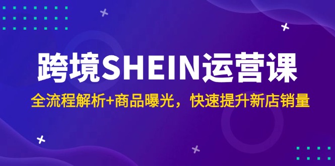 （14832期）跨境SHEIN运营课，全流程解析+商品曝光，快速提升新店销量-齐力副业