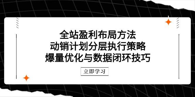 （14698期）全站盈利布局方法：动销计划分层执行策略，爆量优化与数据闭环技巧-齐力副业