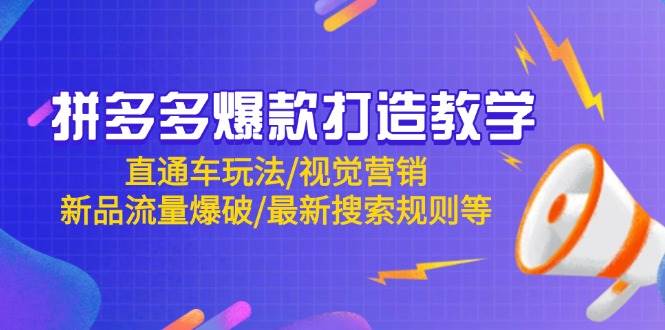 （14681期）拼多多爆款打造教学：直通车玩法/视觉营销/新品流量爆破/最新搜索规则等-齐力副业