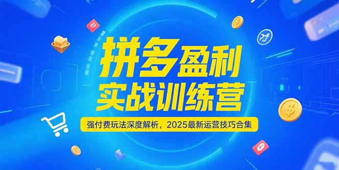 （15183期）拼多多盈利实战训练营，强付费玩法深度解析，2025运营技巧合集-更新6月-齐力副业