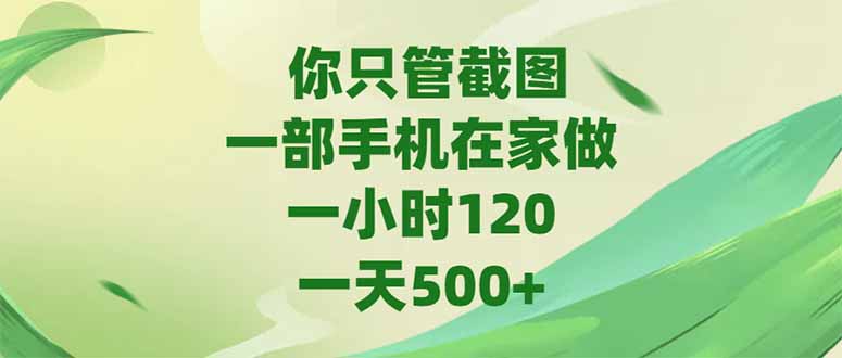 （15039期）你只管截图，一部手机在家做，一小时120，-天500+-齐力副业