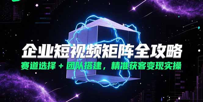 （15242期）企业短视频矩阵全攻略，赛道选择+团队搭建，精准获客变现实操-齐力副业