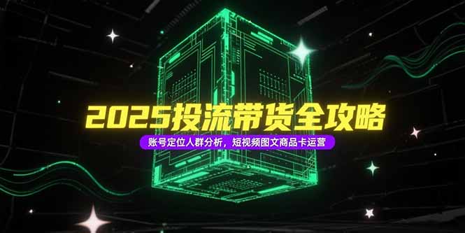 （15233期）2025投流带货全攻略，账号定位人群分析，短视频图文商品卡运营-齐力副业