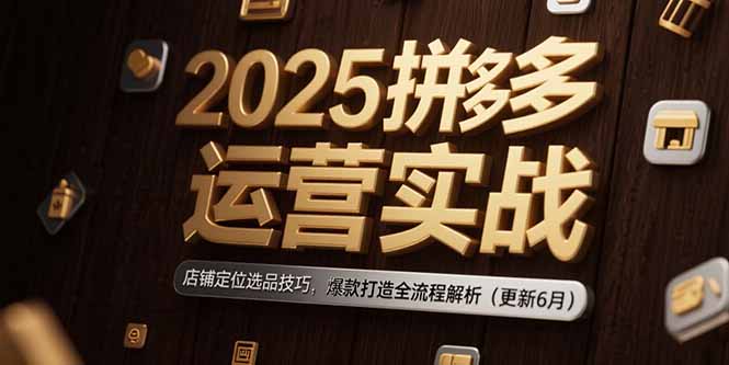 （15235期）2025拼多多运营实战：店铺定位选品技巧，爆款打造全流程解析（更新6月）-齐力副业