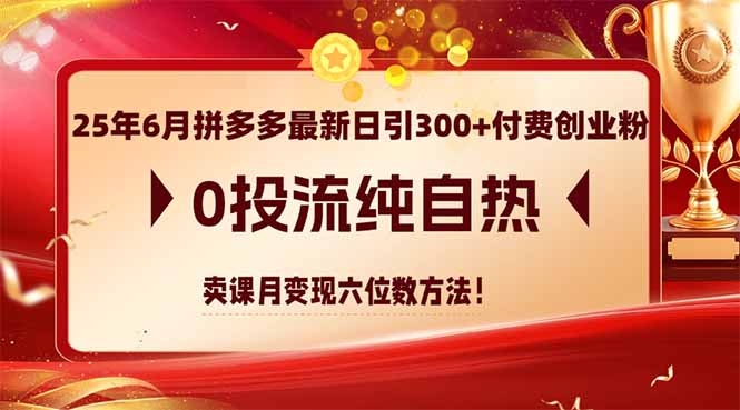 （14989期）25年6月拼多多最新日引300+付费创业粉，0投流纯自热 卖课月变现六位数方法-齐力副业