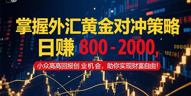 （15198期）掌握外汇黄金对冲策略，日赚 800 – 2000，小众高回报创业机会，助你实…-齐力副业