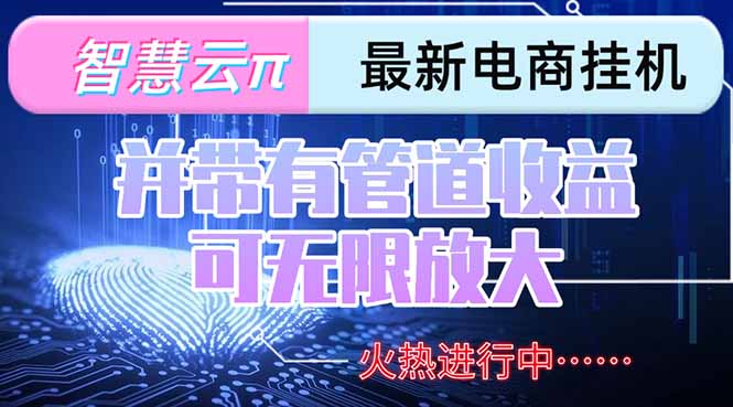 （15314期）智慧云π电脑挂机单机每天收益300—500+ 并带有团队管道收益 可无限放大-齐力副业