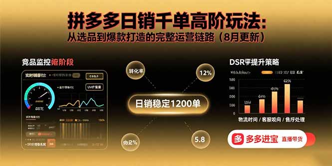 （15850期）拼多多日销千单高阶玩法：从选品到爆款打造的完整运营链路（8月更新）-齐力副业