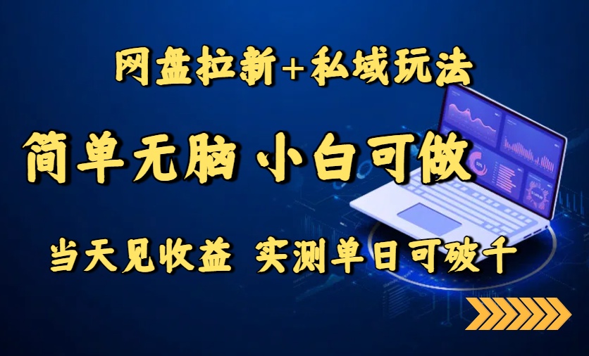 （15744期）网盘拉新+私域玩法，简单无脑，小白可做，当天见收益，实测单日可破千-齐力副业