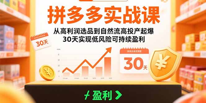 （15586期）拼多多实战课：从高利润选品到自然流高投产起爆 30天实现低风险可持续盈利-齐力副业