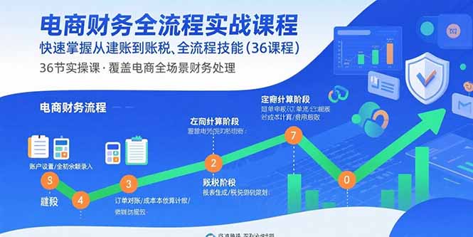 （15883期）电商财务全流程实战课程：快速掌握从建账到报税的全流程技能（36节课）-齐力副业
