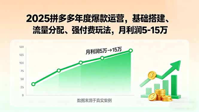 （15973期）2025拼多多年度爆款运营，基础搭建、流量分配、强付费玩法，月利润5-15万-齐力副业