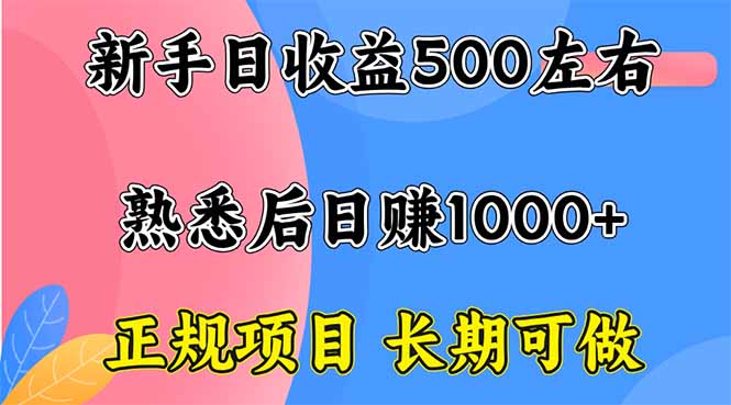 （16132期）新手日收益500+ 正规项目 长期可做-齐力副业