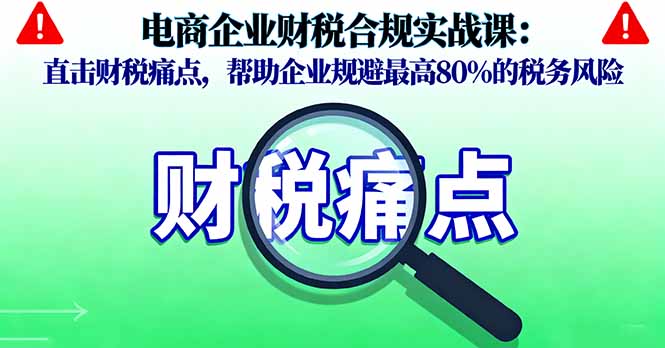 （16232期）电商企业财税合规实战课，直击财税痛点，帮助企业规避最高80%的税务风险-齐力副业