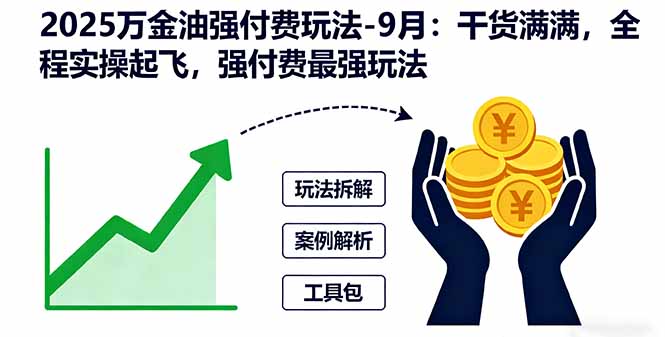 （16202期）2025万金油强付费玩法-9月：干货满满，全程实操起飞，强付费最强玩法-齐力副业