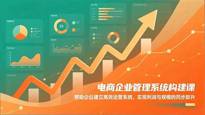 （16643期）电商企业管理系统构建课：帮助企业建立高效运营系统，实现利润与规模的同步跃升-齐力副业