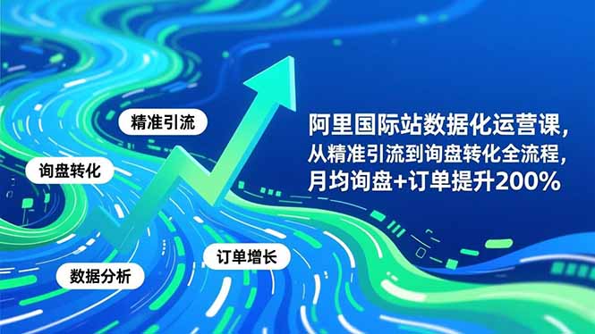 （16660期）阿里国际站数据化运营课-11月，从精准引流到询盘转化全流程，月均询盘+订单提升200%-齐力副业