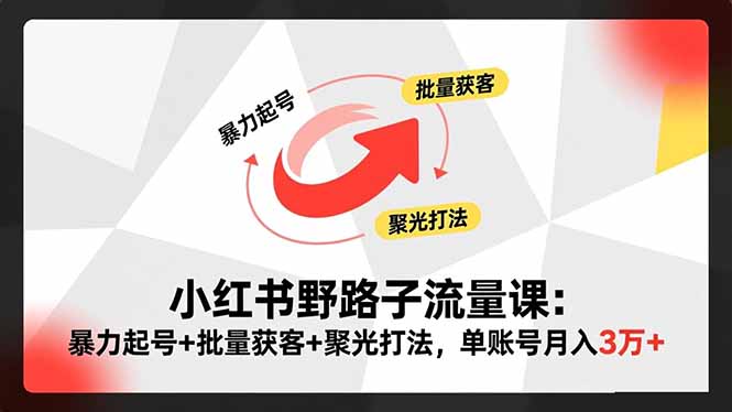 （16513期）小红书野路子流量课：暴力起号+批量获客+聚光打法，单账号月入3万+-齐力副业