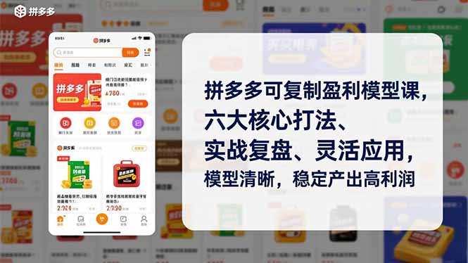 （16952期）拼多多可复制盈利模型课，六大核心打法、实战复盘、灵活应用，模型清晰，稳定产出高利润-齐力副业