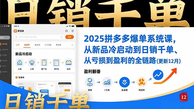 （16894期）2025拼多多爆单系统课，从新品冷启动到日销千单、从亏损到盈利的全链路（更新12月）-齐力副业