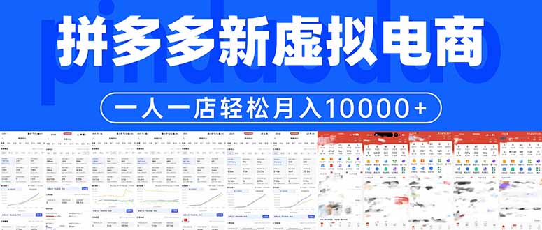 （17978期）拼多多虚拟电商一人一店轻松月入10000+-齐力副业