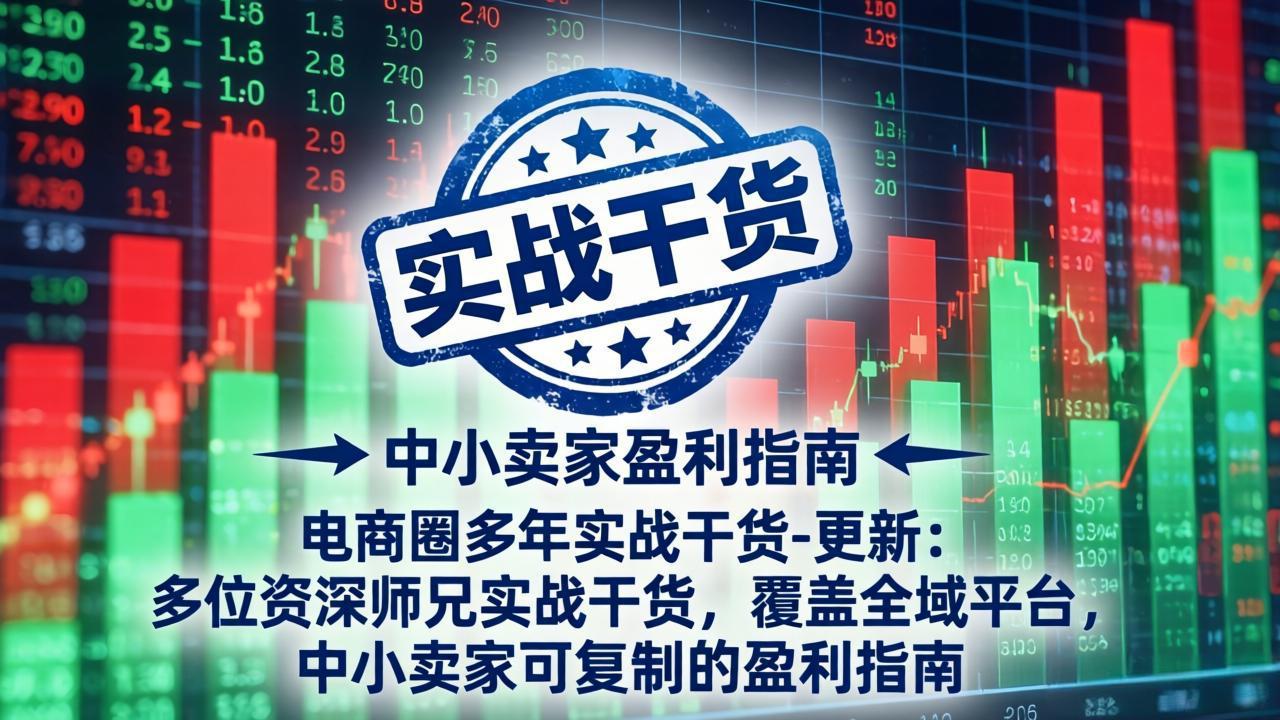 (18534期)电商圈多年实战干货-更新5月20:多位资深师兄实战干货/覆盖全域平台,中小卖家可复制的盈利指南-齐力副业