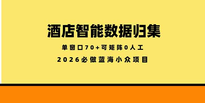(18500期)酒店智能数据归集,小众蓝海已经稳定半年之久,单窗口70+零成本矩阵开干-齐力副业