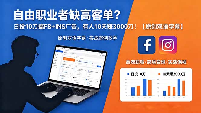 （18489期）自由职业者缺高客单？日投 10 刀搞 FB+INS 广告，有人 10 天赚 3000 刀！【原创双语字幕】-齐力副业