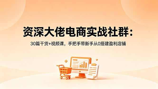 （18529期）资深大佬电商实战社群：30篇干货+视频课，手把手带新手从0搭建盈利店铺-齐力副业