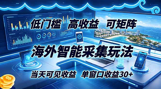 (18955期)海外智能采集玩法,低门槛高单价可矩阵,当天可见收益,单窗口30+-齐力副业