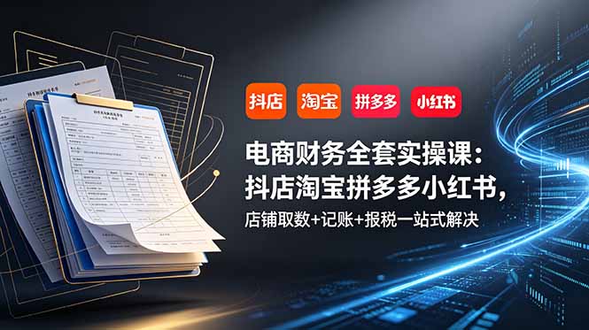 (19001期)电商财务全套实操课:抖店淘宝拼多多小红书,店铺取数+记账+报税一站式解决-齐力副业