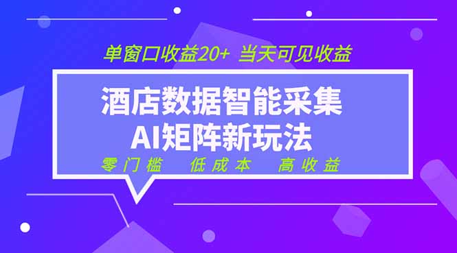 （19041期）2026酒店数据采集ai智能矩阵新风口  低成本   高收益   当天见收益   单窗口20+-齐力副业