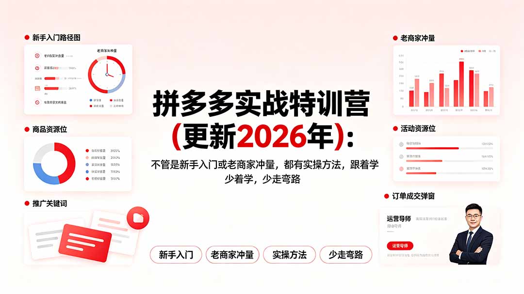 (19291期)拼多多实战特训营(更新2026年):不管是新手入门或老商家冲量,都有实操方法,跟着学,少走弯路-齐力副业